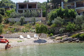 Holiday home in Vela Luka 6375